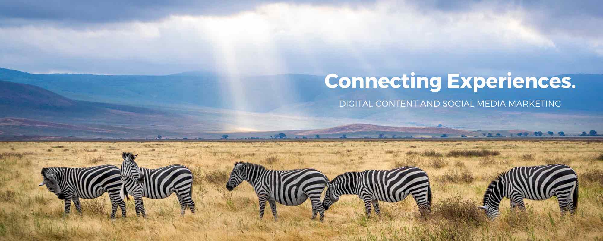 We’ve journeyed with some world-class brands